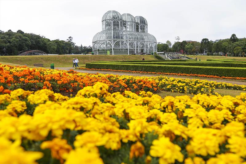 Jardim Botânico